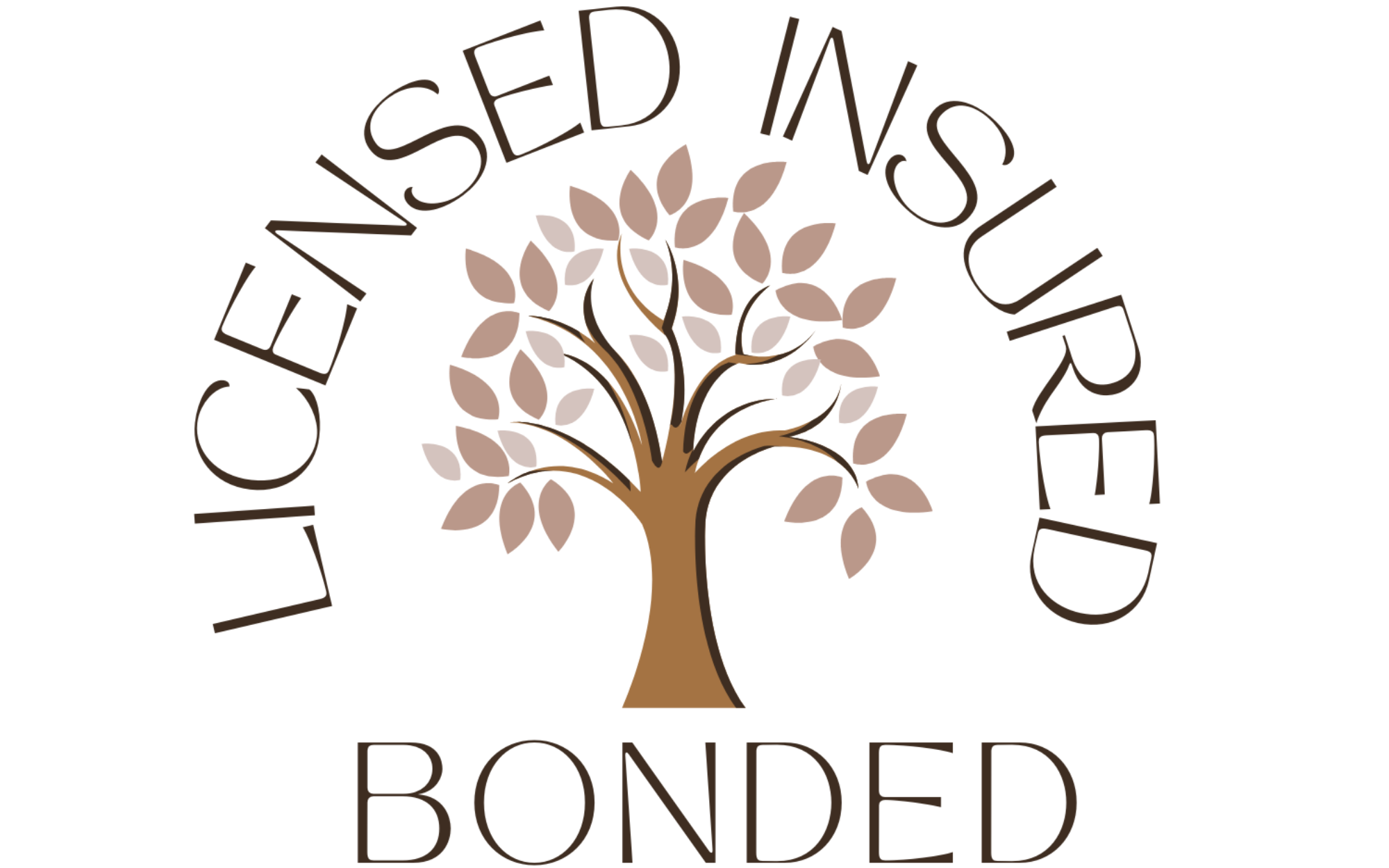 House Cleaning London Ontario Wellness Cleaners